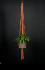 Hand Crafted Macrame Plant Hanger in Terracotta by Hanga